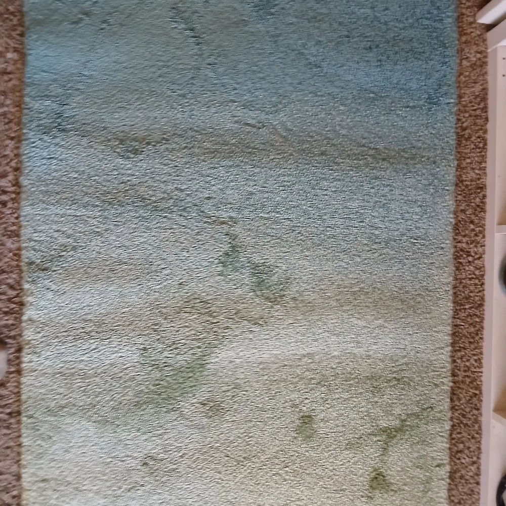NEW IKEA HOTELLRUM Beautiful 6'7 x 2'7 Area Rug only opened for pictures. The - Picture 13 of 16
